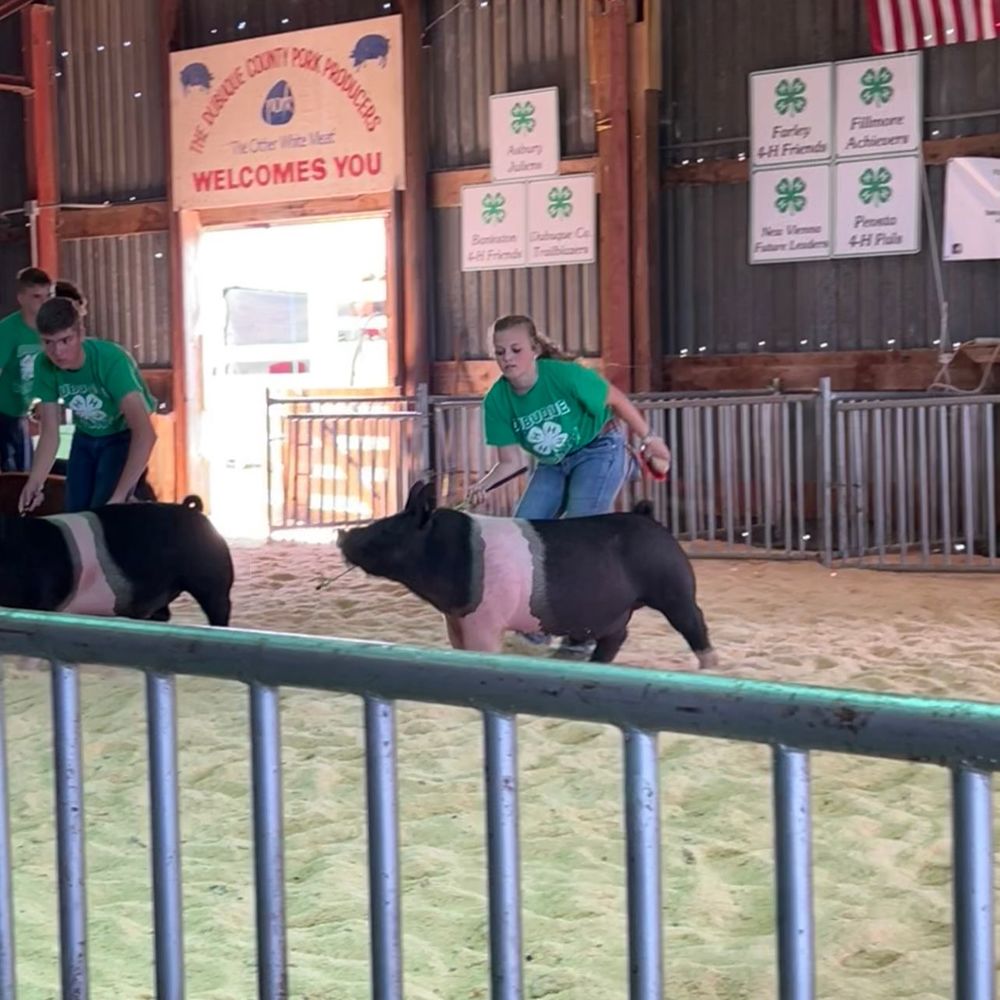 Meet your Posher, Nadeen